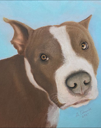 Welcome to Carolina Pet Portraits Welcome to Carolina Pet Portraits